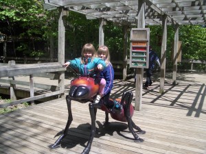 5-16-and-17-09-crazy-pinz-and-binder-park-zoo-005