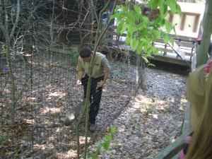 5-16-and-17-09-crazy-pinz-and-binder-park-zoo-011