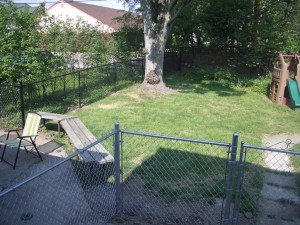 our-new-fence-5-19-09-001
