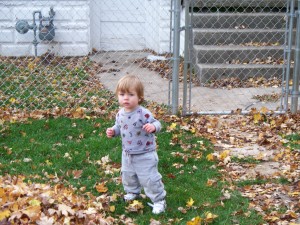 playing in the leaves oct 09 029 (3)